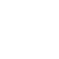 Video Remote Interpreting